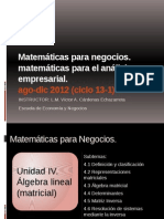 MatemáticasparaNegocios U IV Ago-Dic 2012 EscuelaNegocios