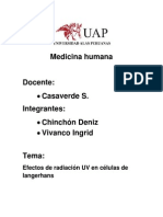 Histologia Celulas de Langerhans