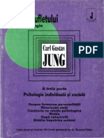 Jung - Puterea Sufletului 3 - Psihologie Individuala Si Sociala - Ed. Anima