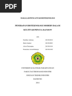 Download Penerapan Bioteknologi Modern Dalam Kultivar Pepaya Rainbow by Arnold Raharja SN215872702 doc pdf