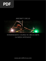 AirCraft Circus Intermediate Course in Circus Arts Prospectus 2018