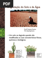 Aula 3_Manejo_Degradação