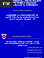 APRESENTAÇÃO PRÉ PROJETO LEANDRO