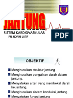 12 Jantung