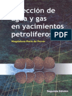 55453154 Libro Magdalena Paris de Ferrer Inyeccion de Agua y Gas en Yacimientos Petroliferos
