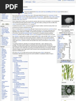 Download More About Rice by ismvohra SN21596509 doc pdf