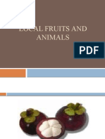 Local Fruits and Animals