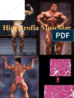 Hipertrofia Muscular