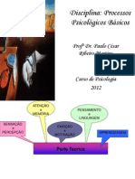 Processos Psicológicos Básicos