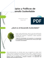 Principios y Políticas de Desarrollo Sustentable