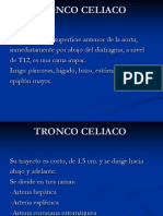 Tronco Celiaco