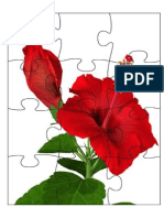 Year 2 Flowers Puzzle DIY