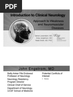 Understanding Pyramidal Weakness | PDF | Anatomical Terms Of Motion ...