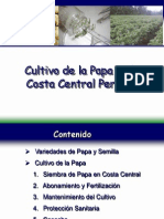 Cultivo de Papa