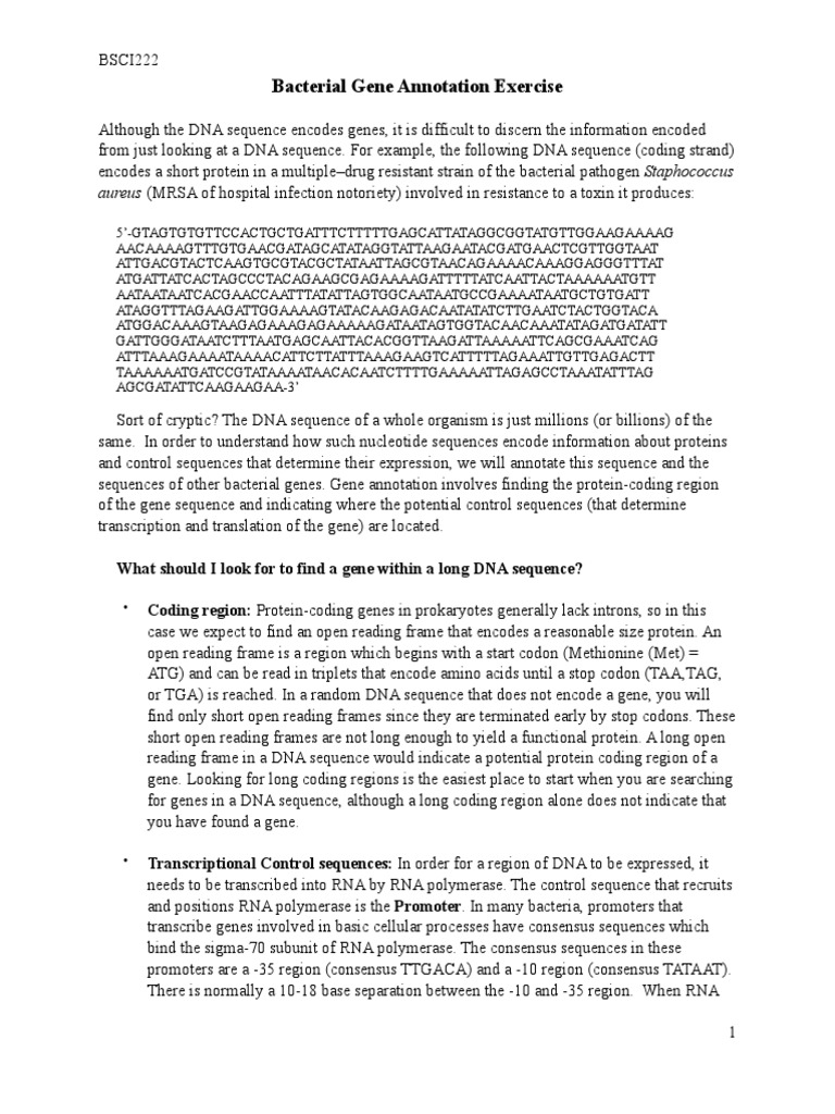 Bacterial Gene Annotation Guide | PDF | Directionality (Molecular ...
