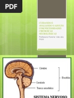 Cuidando e Avaliando o Adulto Com Necessidades Cirurgicas