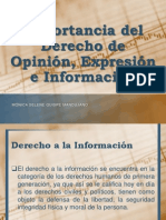 Importancia Del Derecho de Opinión, Expresión e Información