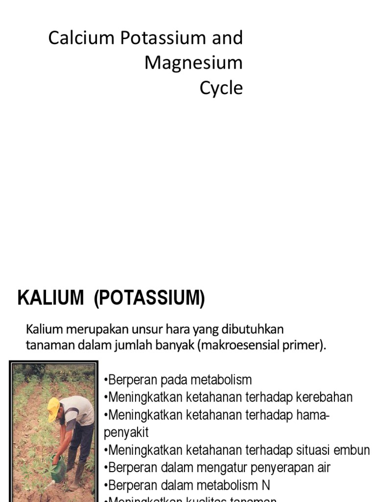 Potassium, Calcium and Magnesium Cycle Calcium Soil