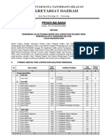 Pengumuman CPNS 2009 Kota Tangerang Selatan