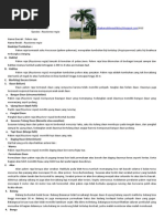 Download laporan Gymnospermae by linurhuda SN216056980 doc pdf