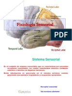 Fisiologia Sensorial 110328214037 Phpapp01