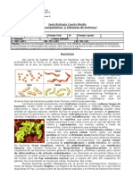 Guía IV Medio Biología Bacterias y Virus Revisada