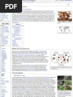 1356966734?v=1