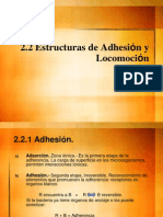 Clase Adhesion y locomoci- ¦ón