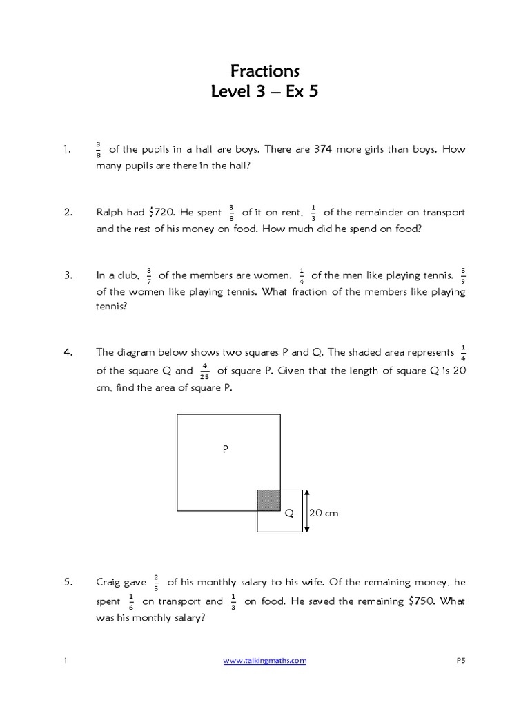 Fractions Level 3 - Ex 5 | PDF