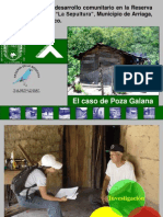 Poza Galana A 8 Años