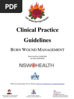Download BURNS -Clinicalpractice and Guidelines by myrnavc SN21611043 doc pdf