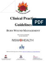BURNS -Clinicalpractice and Guidelines