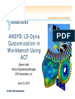 Caea Ansys Ls-Dyna Customization Act