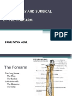 The Anatomy and Surgical Approach of Forearm
