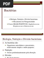 Aula - 05 Bacterias