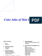 Handbook of Skin Diseases Flashbook