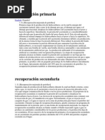 recuperación primaria.docx