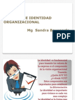 Cohesion e Identidad Organizacional