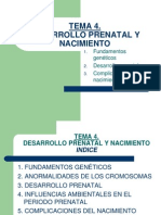 Diapositivas Tema 4 Desarrollo Prenatal