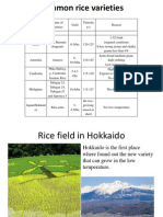Common Rice Varieties