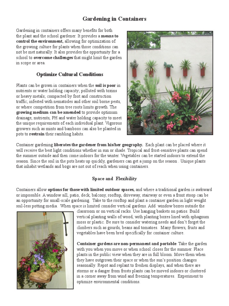 Container Gardening Benefits and Tips | PDF