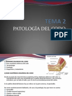 OSTEOPATÍA CODO teoria.pdf