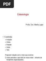 Estesiologia