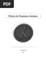 Clinica Pequenos