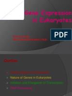 Gene Expression in Eukaryotes: M.Prasad Naidu MSC Medical Biochemistry, PH.D