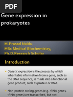 Gene Expression in Prokaryotes.