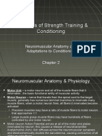 Essentials of Strength Training & Conditioning