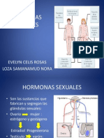 hormas_sexuales