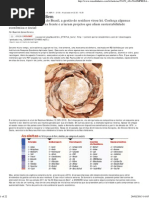 As 50 Empresas do Bem - ISTOÉ Dinheiro