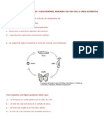 ciencias (1).pdf